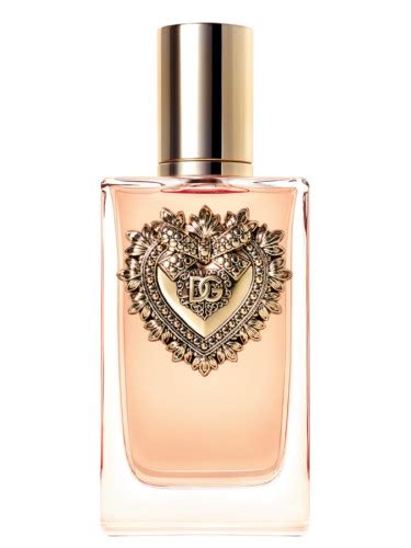 dolce gabbana nouveau parfum|dolce and gabbana perfume prices.